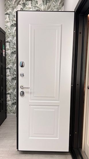 Входная дверь  