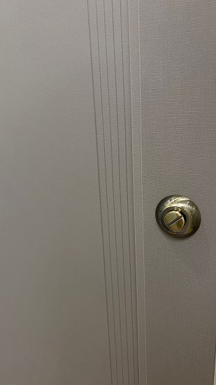 Межкомнатная дверь  