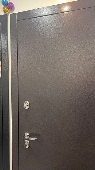 Входная дверь  